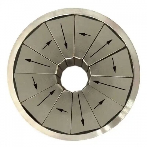 Customized Halbach Array Ring Magnet