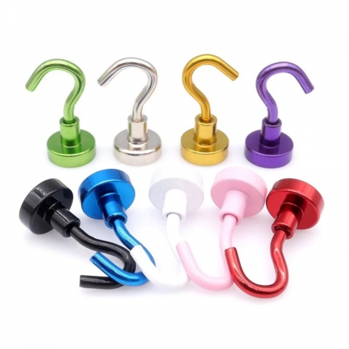 colorful hook magnet
